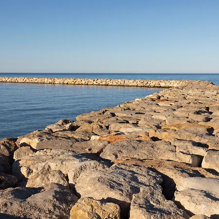 Vila Purrfecta - El Verger Denia